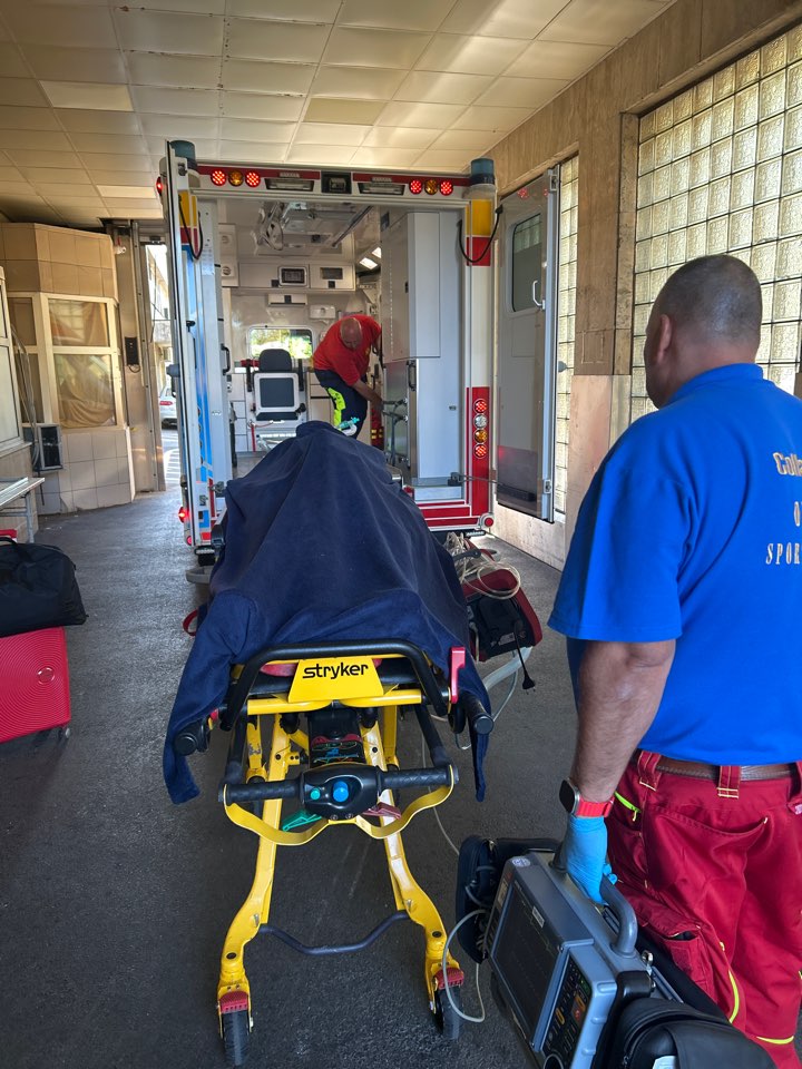 뇌출혈환자 부다페스트에서 한국으로 이송완료