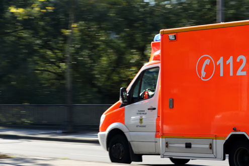 영국 런던 조현병 환자 본국 이송